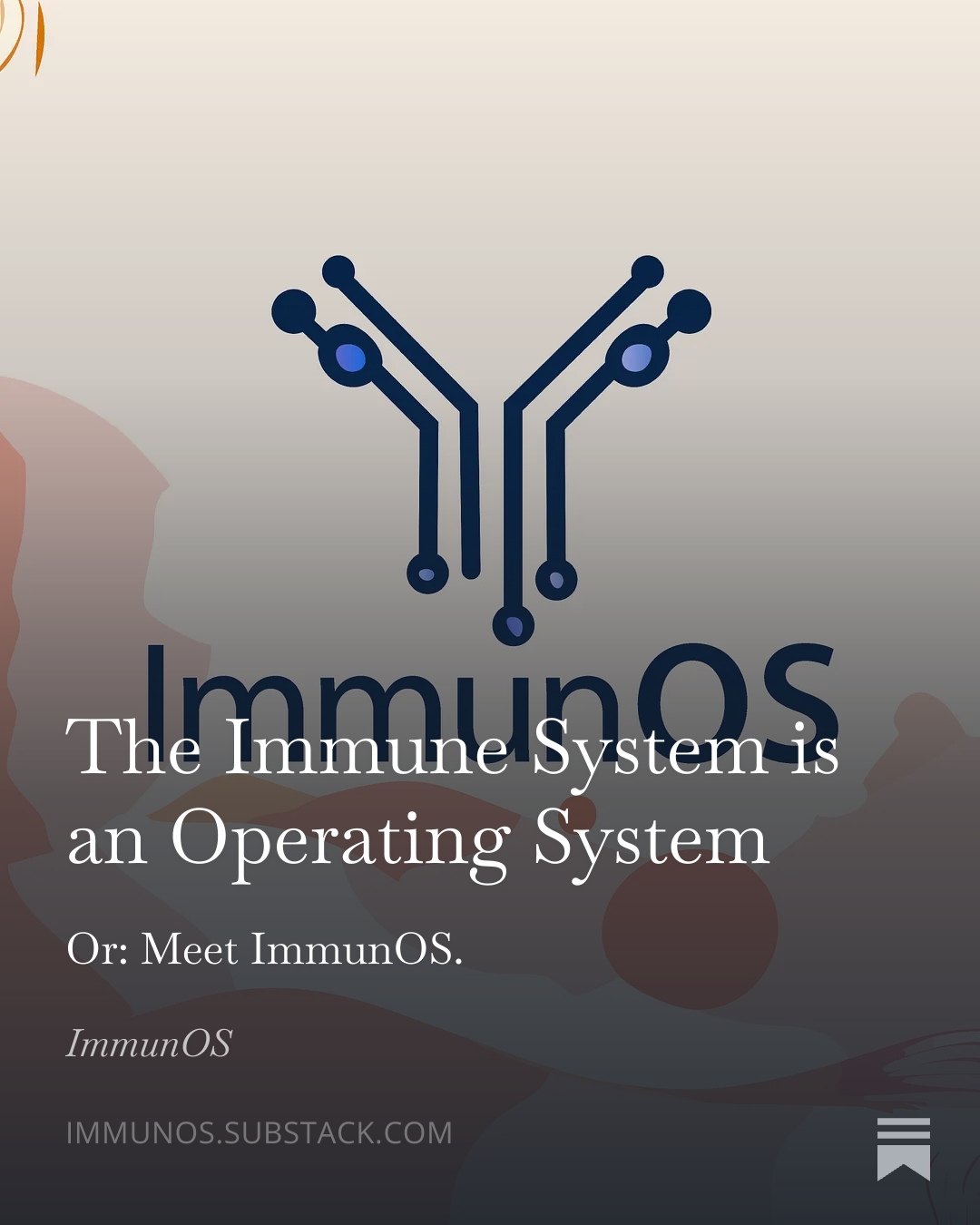 The Immune System is an Operating System