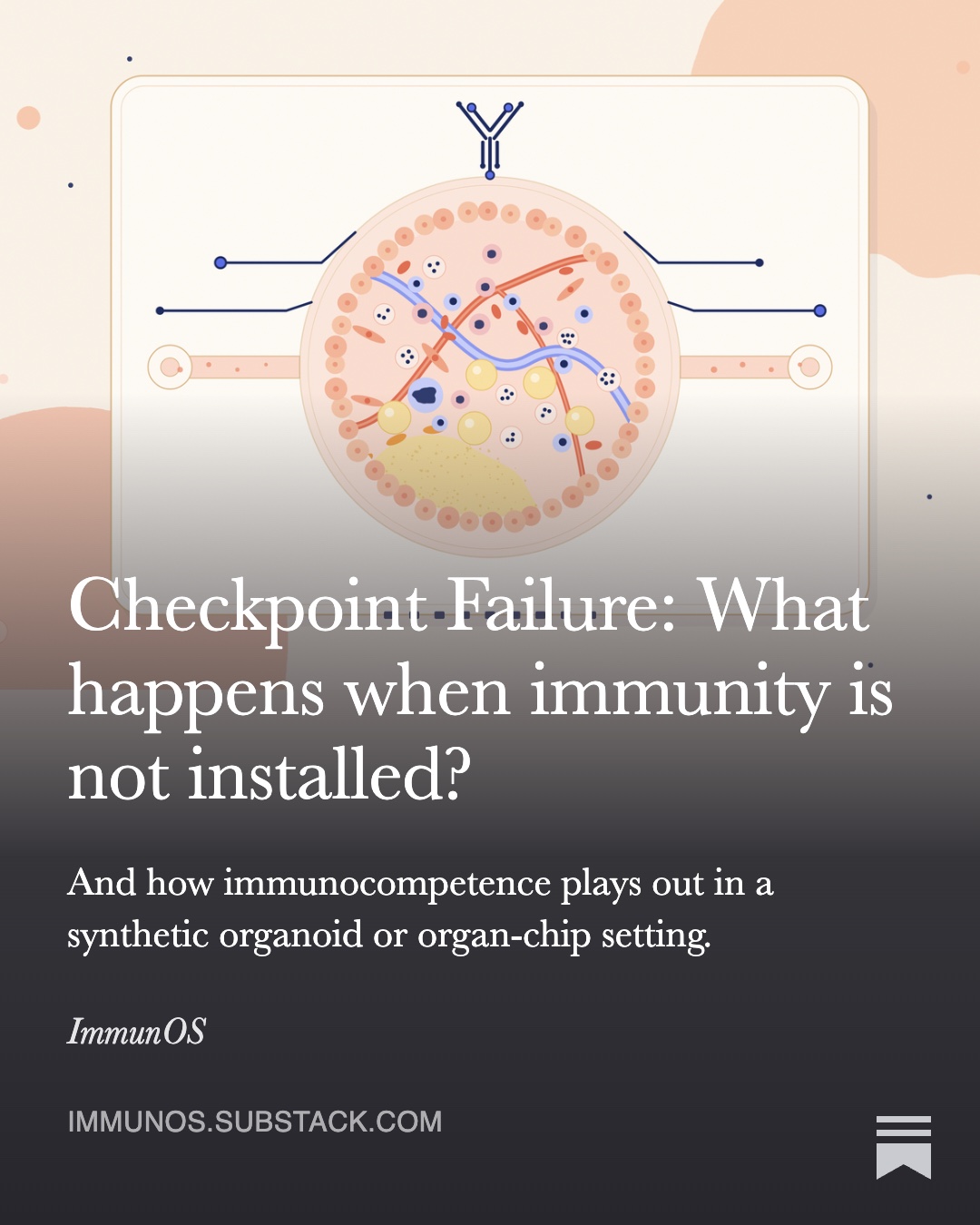 Checkpoint Failure: What happens when immunity is not installed?